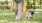 a woman walking a dog