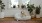 large dog sits in its bed under a windowsill full of potted plants